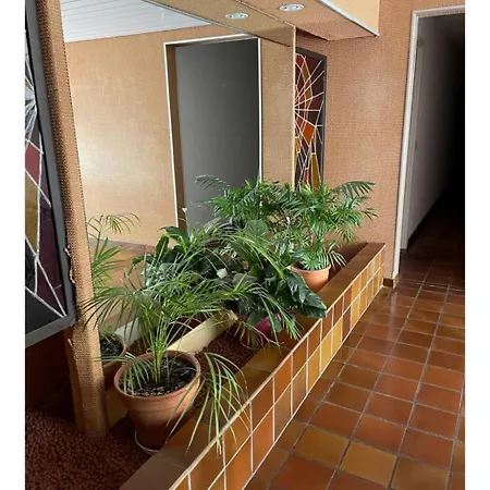 Joli Avec Piscine Fréjus
